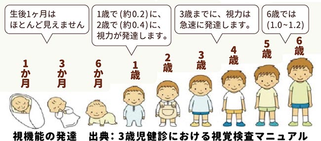 視機能の発達＿出典：3歳児健診における視覚検査マニュアル